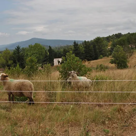 Bed & Breakfast D'hotes & Le Relais De La Cavayere