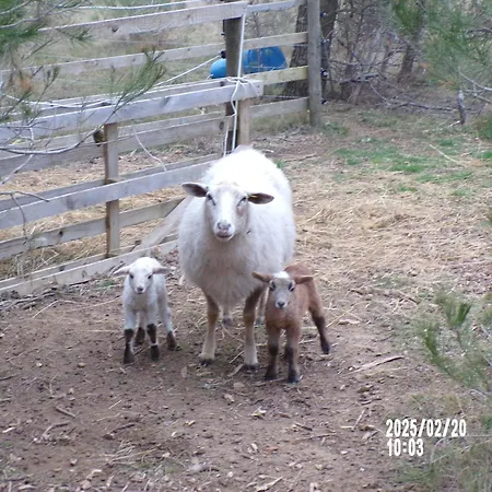 Bed & Breakfast Le Relais De La Cavayere