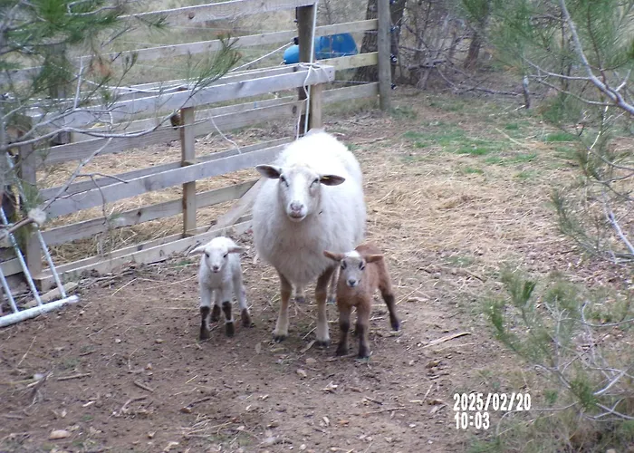 Bed & Breakfast Le Relais De La Cavayere